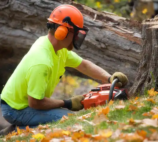 tree services Chester